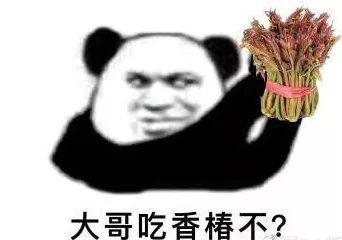 来源:半岛都市报·海报新闻
