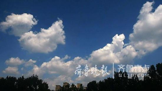 (齊魯晚報·齊魯壹點 記者周青先攝)