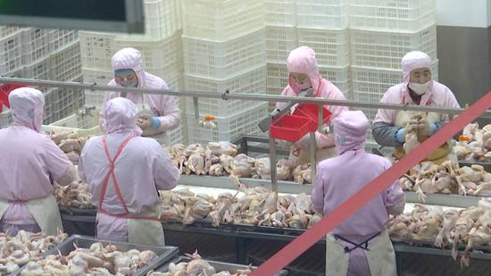 标称生产企业为平原县万和食品厂生产的1批次辣子鸡菌落总数项目不合格；