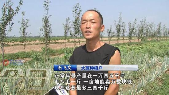 秋菜價格可能小幅上漲