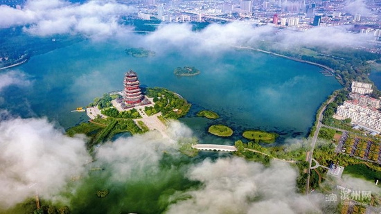 滨州的色彩