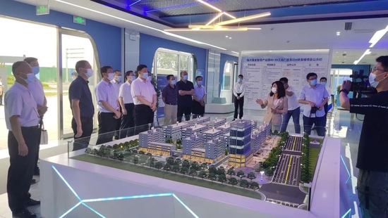 隽新阳一行听取工作汇报