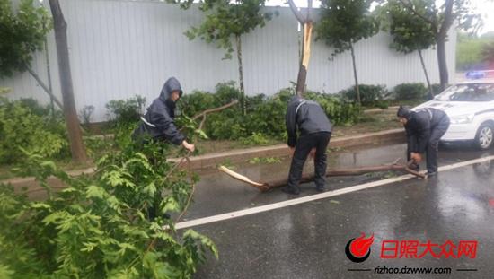 民警及时处理刮断的树枝