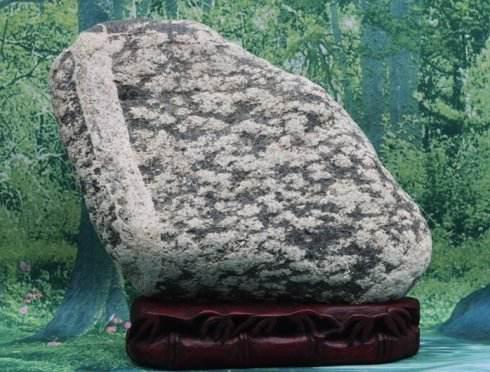 (壹点号《风华齐鲁》出品,齐鲁晚报·齐鲁壹点记者 张九龙 图片来源于网络)
