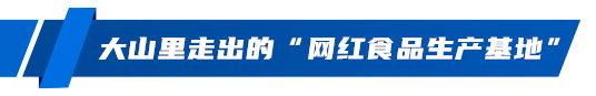 零食囤年味！山东“网红零食之都”承包年轻人的年货