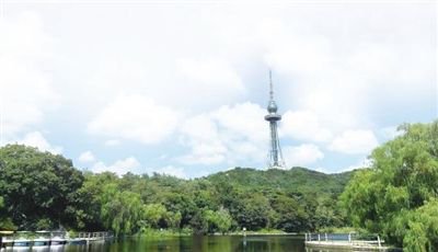 风景秀丽的中山公园
