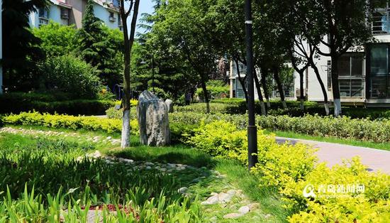 海綿改造讓海信南嶺風情小區變“花園”