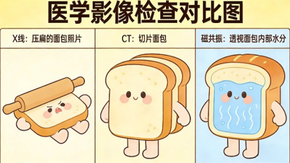 （X线、CT、磁共振原理模拟图）