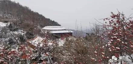 泰山上也降雪啦!