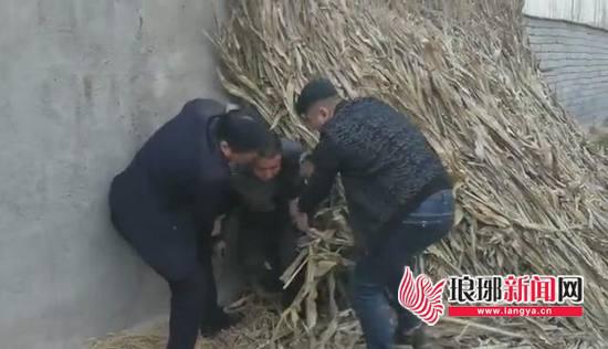 抓獲犯罪嫌疑人