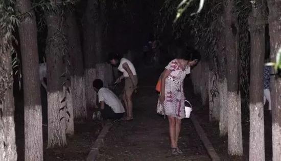 咱山东树林多的地方