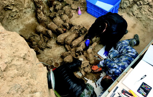 考古队员在专家指导下提取陶俑。
