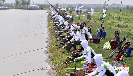 7月1日，垂钓选手在山东枣庄市台儿庄运河湿地垂钓基地参加河钓大赛
