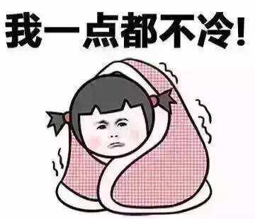 不得不說,今年元旦,我們多了一個伴兒。