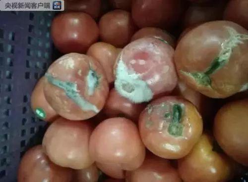學生家長在食堂后廚發現了已經變質的食物。圖片來源:央視新聞客戶端