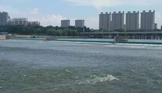 大众网·海报新闻8月9日讯 (记者 辛振东)