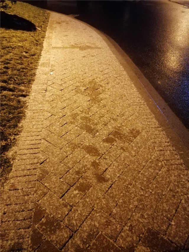 小伙伴们,快点起床看吧!要不,这新年第一场雪,真的要,化了。。。