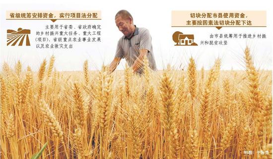 5月28日,在临沂市郯城县郯东村,村民在查看即将收获的小麦长势。