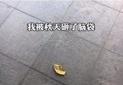 全身具体天气预报