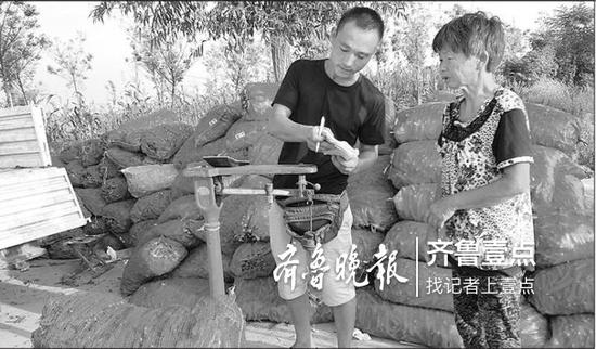 邱敬福正在給辣椒種植戶過秤。
