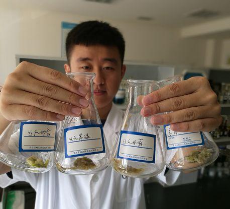 经过4个多小时的实验: