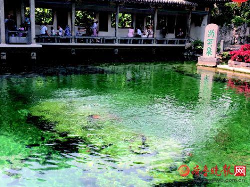 ◥26日，趵突泉“三股水”不见腾空势头。