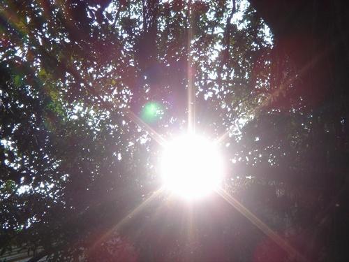 另据山东省气象台6月3日06时天气预报: