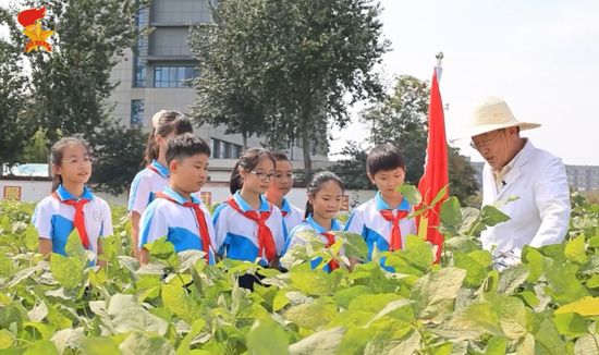 全国交流！槐荫教师参加全国少先队辅导员优秀工作案例交流展示