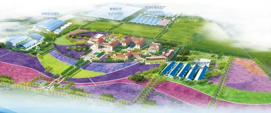 ▲校企共同投资9亿元,在安丘、寒亭共建2个占地3800亩的新旧动能转换智慧农牧示范园