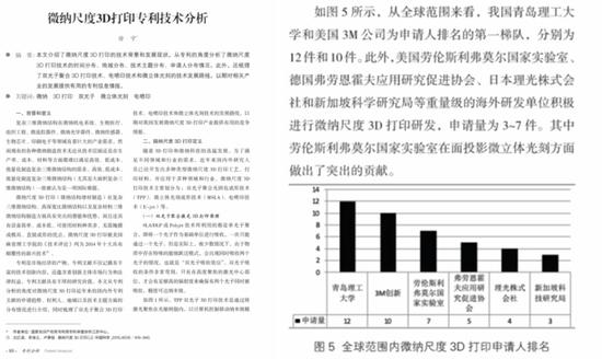 全球范围内微纳尺度3D打印申请人排名