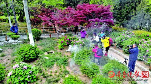 泉城公园内，有游客为了拍花放烟饼造仙气儿。 “大明湖畔的少帮主”供图