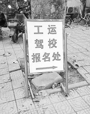 院中有報名處的牌子。付雪麟攝