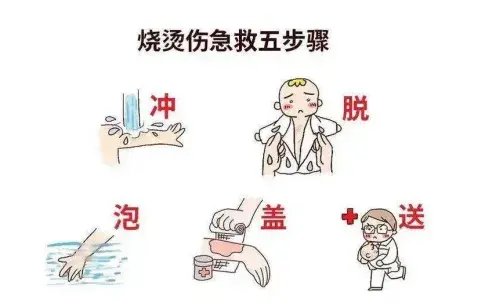 图片来源网络