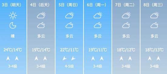 春天到了,柳絮也来了……