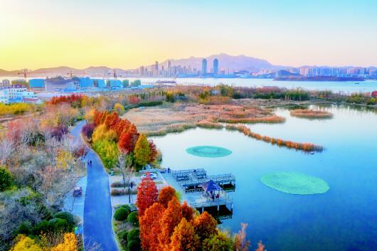 冬日的青岛西海岸新区唐岛湾畔景色秀美。(CFP供图)