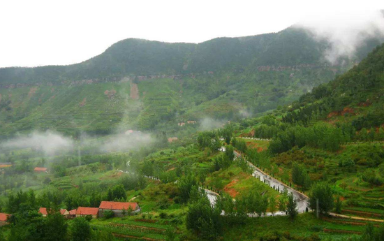 臨沂市蘭陵縣蒼山街道壓油溝村
