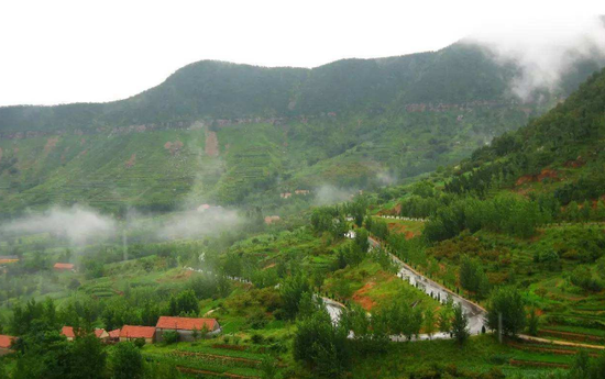 临沂市兰陵县苍山街道压油沟村