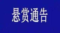 悬赏比例按照，实际到位金额执行