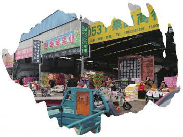 冬棗囤倆月價格漲5倍