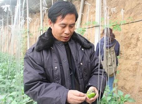 农业技术员进田间推广预防蔬菜病虫害知识