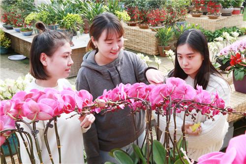 市民現(xiàn)場認(rèn)購年宵花