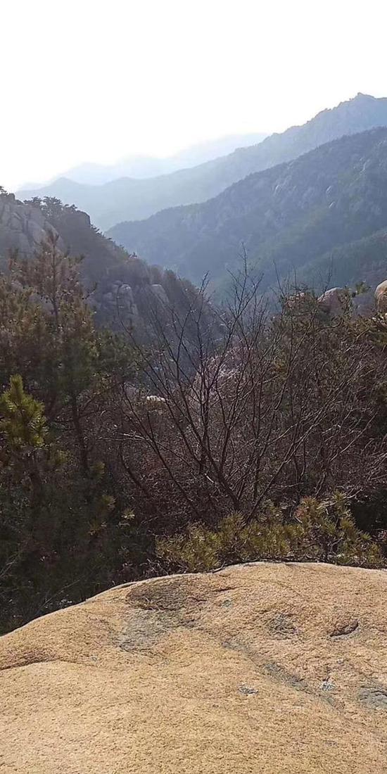 李德彬失蹤前在朋友圈發(fā)的最后一張圖片。