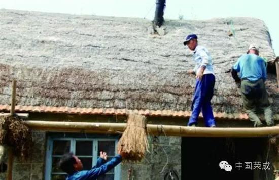 威海守艺人:苫匠,让百年海草房焕发生机