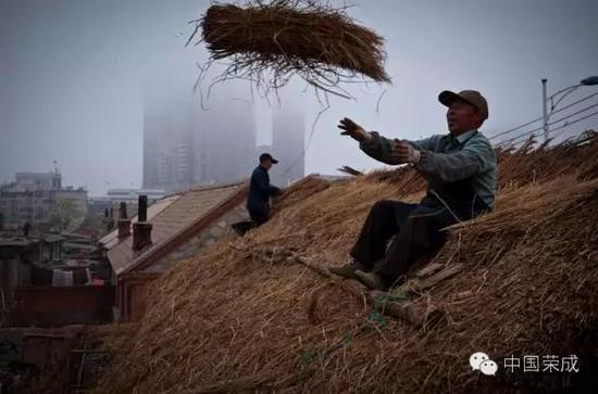 威海守艺人:苫匠,让百年海草房焕发生机