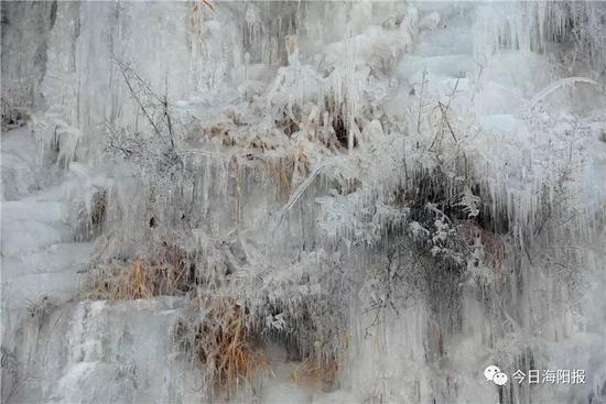 如果再遇上一场降雪