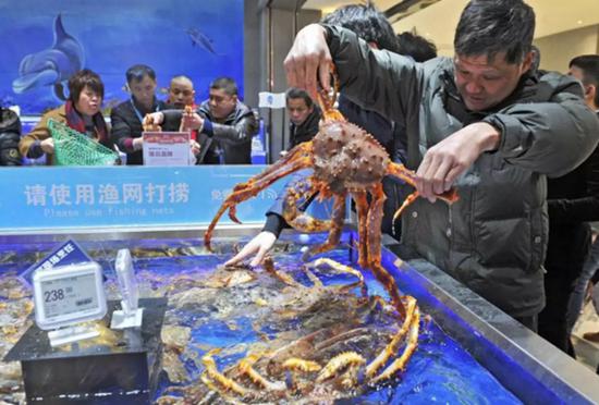 一名福州市民在盒马鲜生挑选帝王蟹。(摄于2月8日)