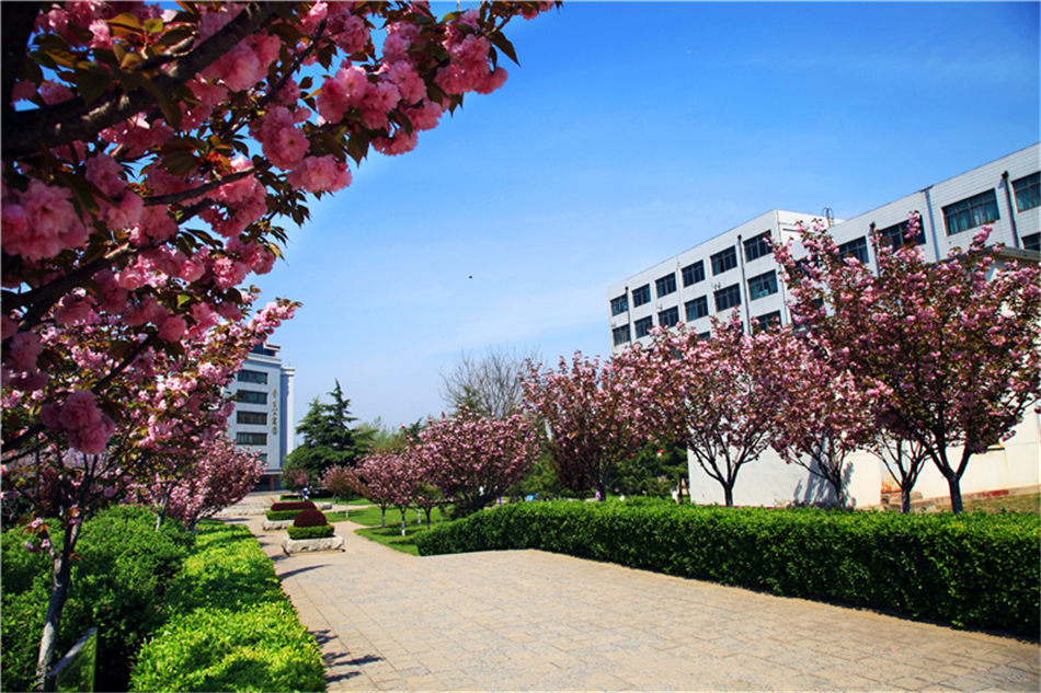 山东经贸职业学院