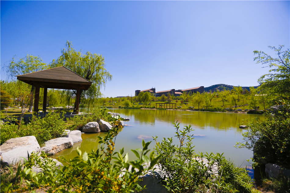 山东旅游职业学院