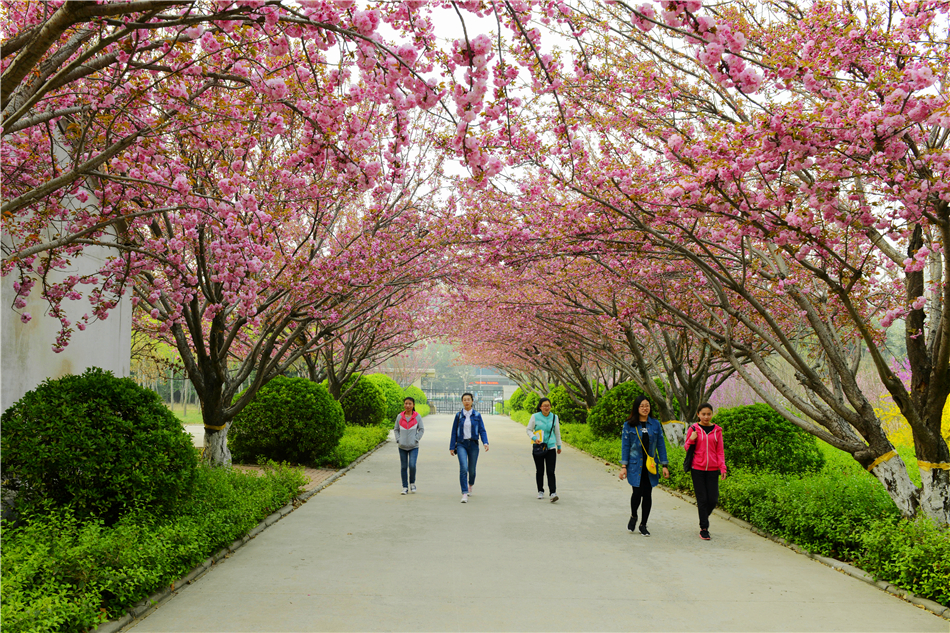 山东畜牧兽医职业学院