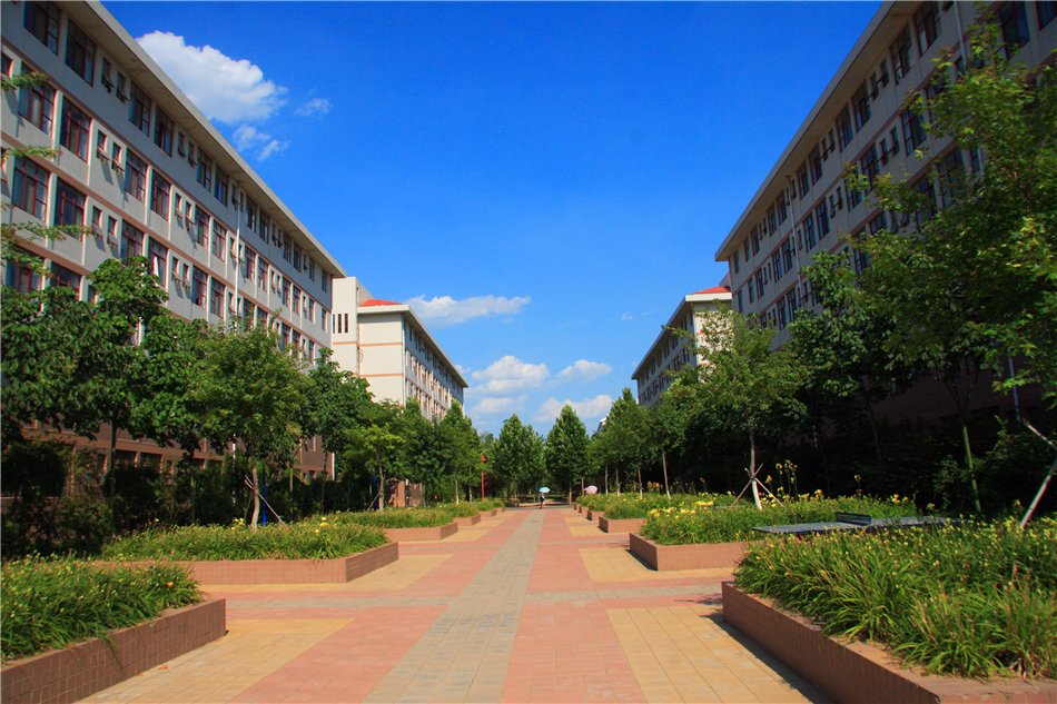 山东中医药大学